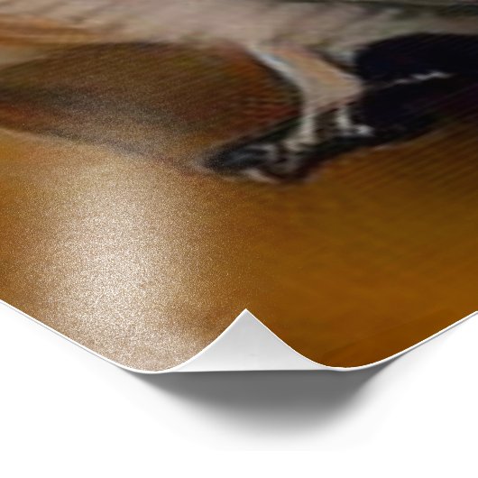 Impression Photo Barn Owl 🦉 (Coin)