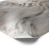 Impression Photo Barn Owl (Coin)