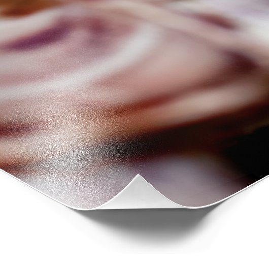 Impression Photo Barnacles (Coin)