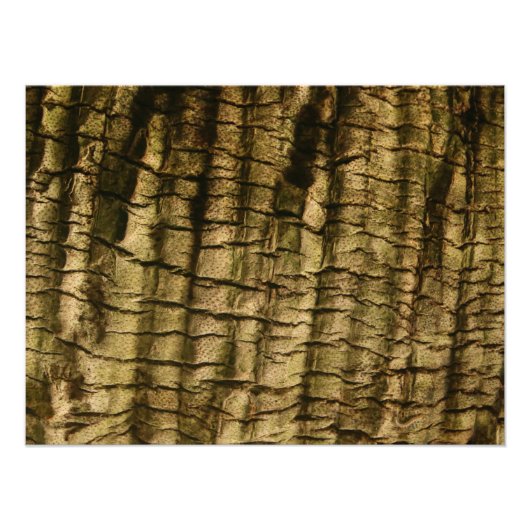 Impression Photo Barre de palmiers (Devant)