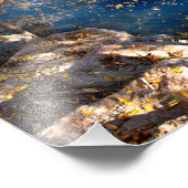Impression Photo Barton Creek Bridge - Austin Texas (Coin)