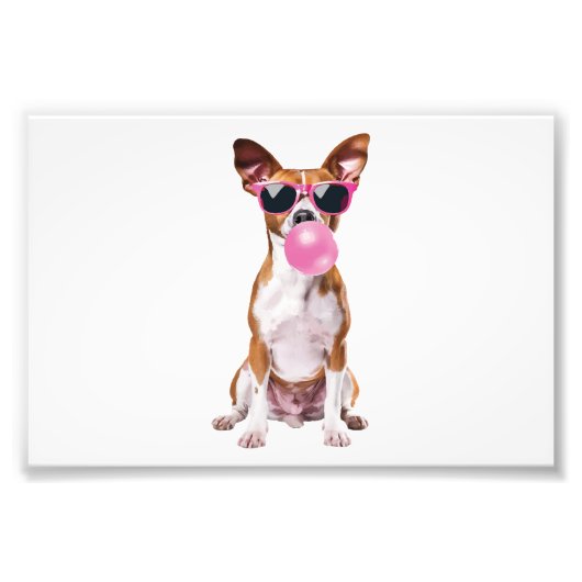 Impression Photo Basenji (Devant)