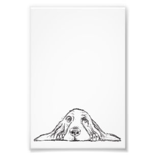 Impression Photo basset hound noir blanc yeux de chiot simple