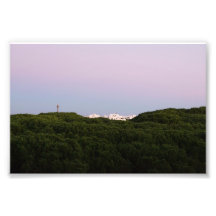 Bâtiments blancs dépassant des pins Portugal