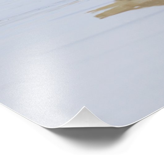 Impression Photo Beach Willet (Coin)