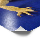 Impression Photo Bearded Dragon on Blue (Coin)