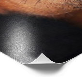 Impression Photo Beau Doberman Pinscher (Coin)