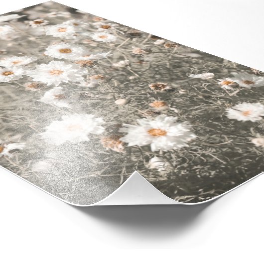 Impression Photo Beau Fleur sauvage blanc neige Floral (Coin)