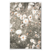 Impression Photo Beau Fleur sauvage blanc neige Floral (Devant)