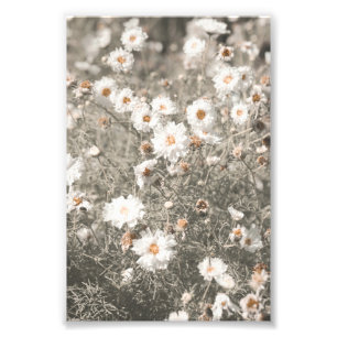 Impression Photo Beau Fleur sauvage blanc neige Floral