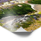 Impression Photo Beau Jardin (Coin)
