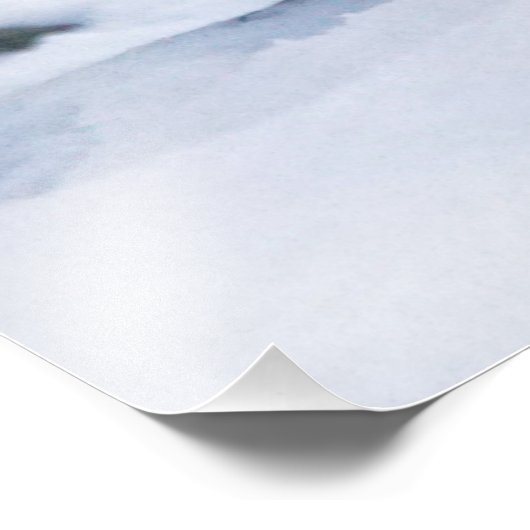 Impression Photo Beau léopard des neiges (Coin)