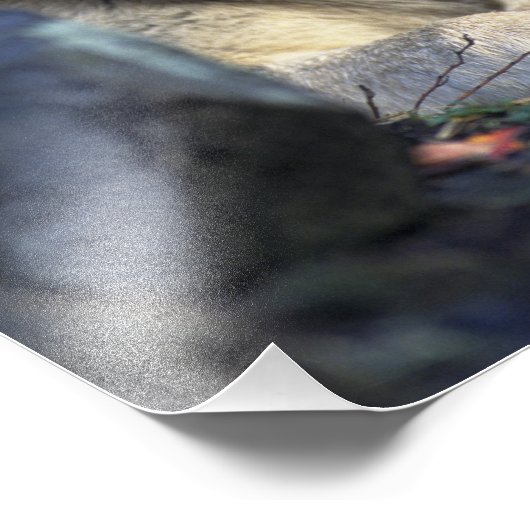 Impression Photo Beau loup (Coin)