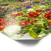 Impression Photo Beau matin de printemps (Coin)