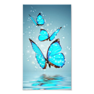 Impression Photo beau papillon bleu brillant