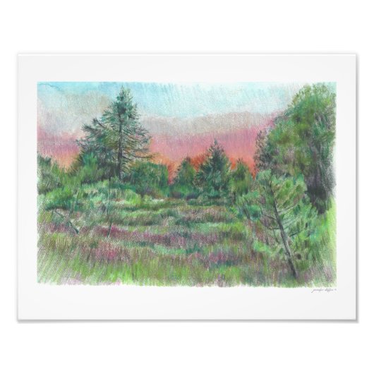 Impression Photo Beau Paysage Art Arbres Pink Sky Night (Devant)