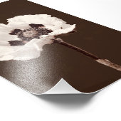 Impression Photo Beau Snowy White Montana Fleur sauvage (Coin)