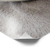 Impression Photo Beau Weimaraner chasse chien (Coin)