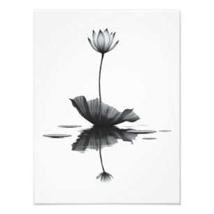 Impression Photo Beauté de Lotus Pur