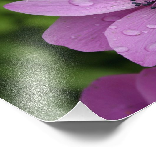 Impression Photo Beauté violette (Coin)