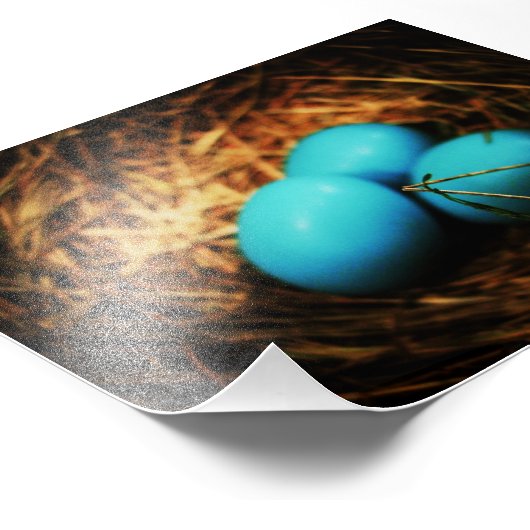 Impression Photo Beautés simples (Coin)