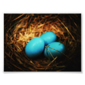 Impression Photo Beautés simples (Devant)