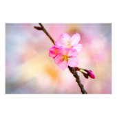 Impression Photo Beautiful Sakura Cherry (Devant)