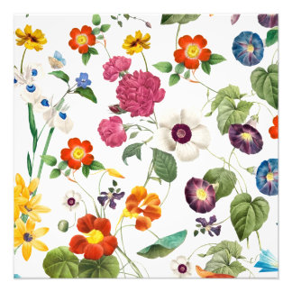 Impression Photo Beautiful Watercolor Botanical