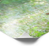 Impression Photo Bébé Blanc Quincé Cerf Fawn (Coin)