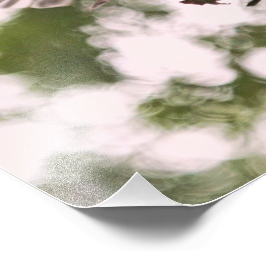 Impression Photo Bébé chickadees et mère oiseau (Coin)