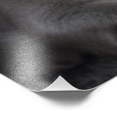 Impression Photo Bébé Macaque, Macaco Bebe (Coin)