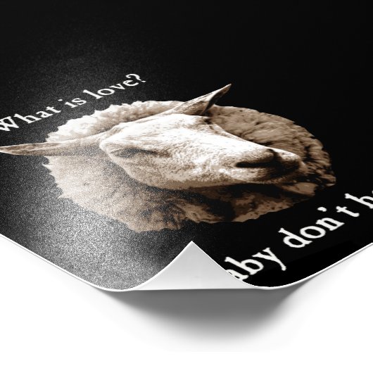 Impression Photo Bébé ne me déshonorez pas Moutons (Coin)