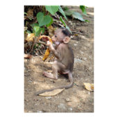Impression Photo Bébé singe (Devant)