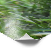 Impression Photo Bébé superbe Robin (Coin)