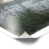 Impression Photo Bécasseau (Coin)