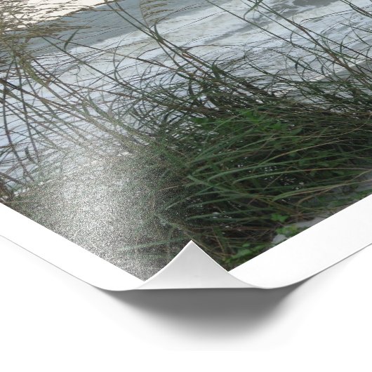 Impression Photo Bécasseau (Coin)