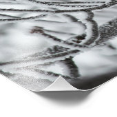 Impression Photo Bécasseau à cou noir (Coin)