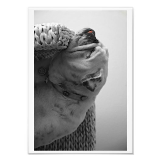 Impression Photo Bed & Breakfast Colorated Bulldog Tête de repos (Devant)