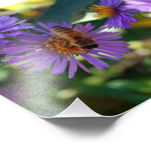 Impression Photo Bee-u-t-ful (Coin)