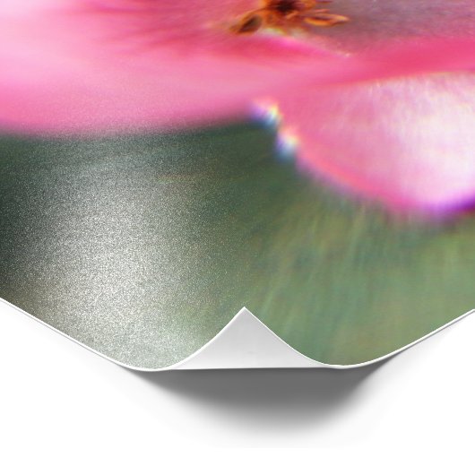 Impression Photo Begonia Petal (Coin)