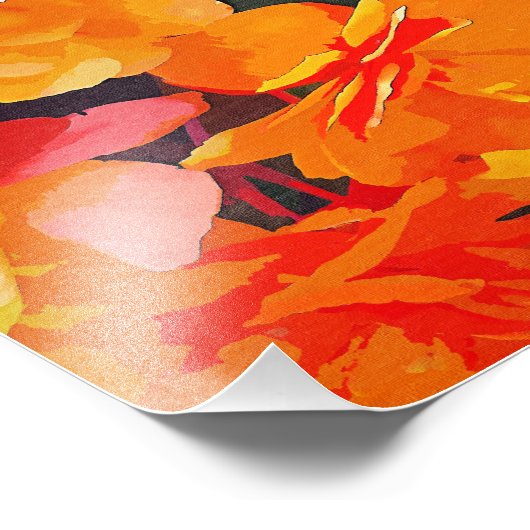 IMPRESSION PHOTO BEGONIAS (Coin)