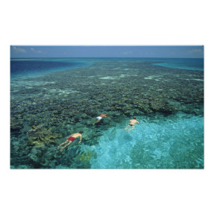Impression Photo Belize, récif barrière, récif Lighthouse, bleu
