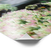 Impression Photo Belle abeille alimentaire (Coin)