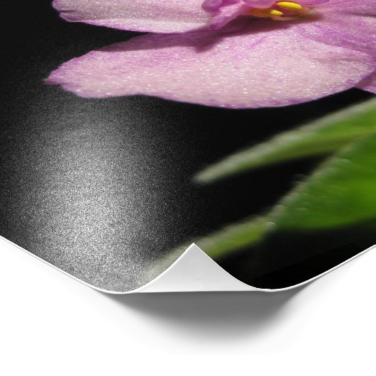 Impression Photo Belle Art Violet Africain (Coin)