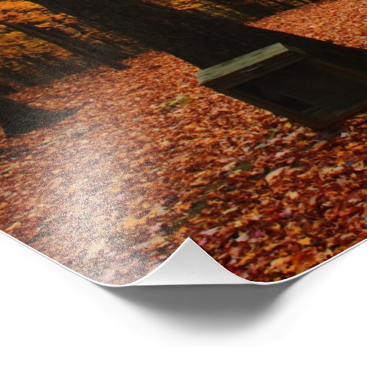 Impression Photo Belle automne (Coin)