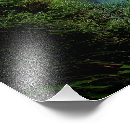 Impression Photo Belle chute d'eau (Coin)