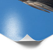 Impression Photo Belle Dame (Coin)