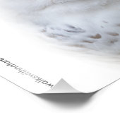 Impression Photo Belle, Dreamy et Serene Snowy Owl (Coin)