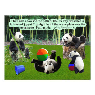 Impression Photo Belle Écriture Panda : Psaumes 16:11,
