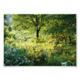 Impression Photo Belle épreuve photographique de la scène 7x5